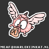 flyingpig